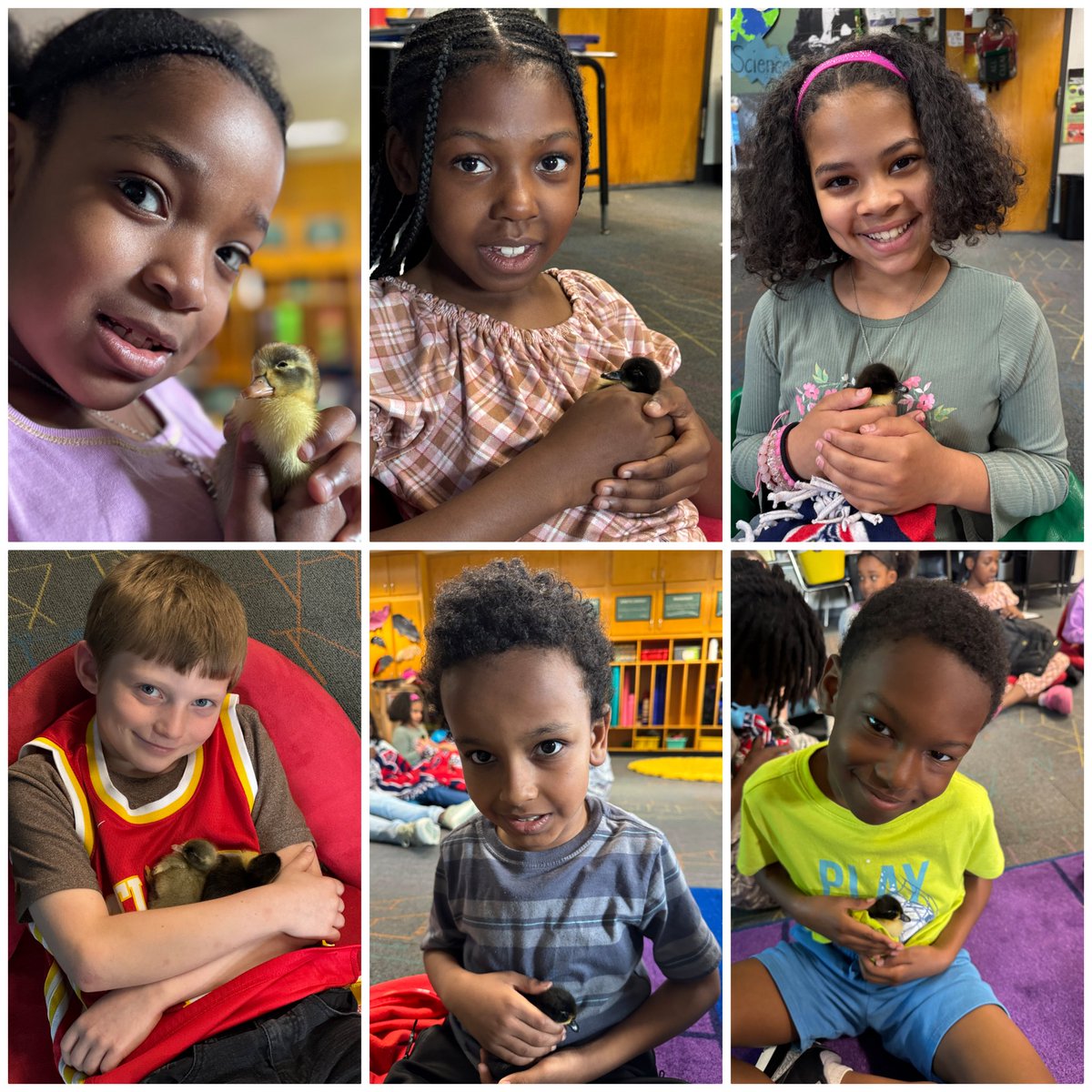 Melissa Clark (@melissakclark) on Twitter photo My kids had a great time with <a href="/Cytwirler/">Allison Arnold-Kempers</a> in computer science learning about the baby ducks that hatched <a href="/CWChamps/">Chapelwood Elementary</a>
#wearewayne My kids had a great time with <a href="/Cytwirler/">Allison Arnold-Kempers</a> in computer science learning about the baby ducks that hatched <a href="/CWChamps/">Chapelwood Elementary</a>
#wearewayne
