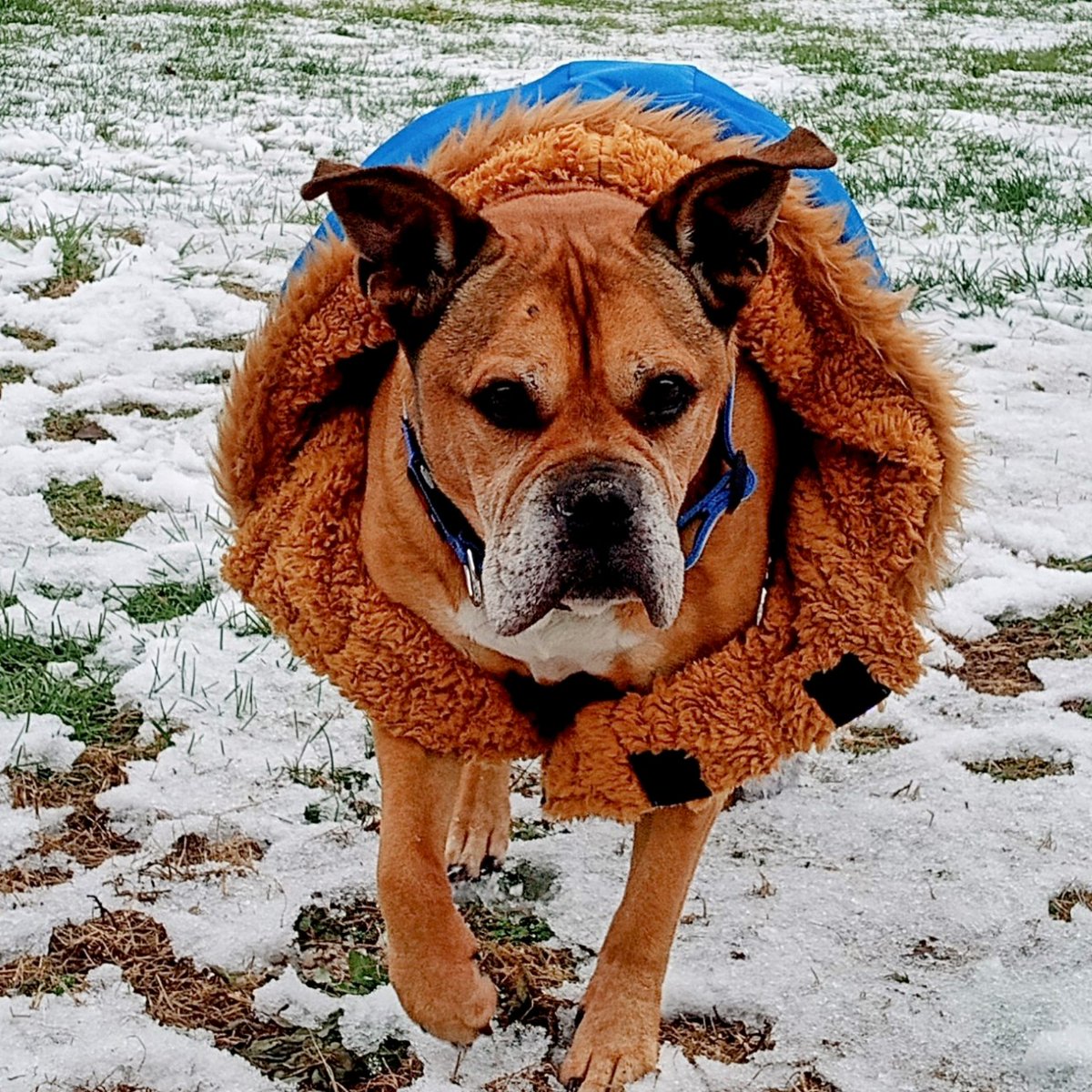 Kimberly 🇺🇸 tweet media