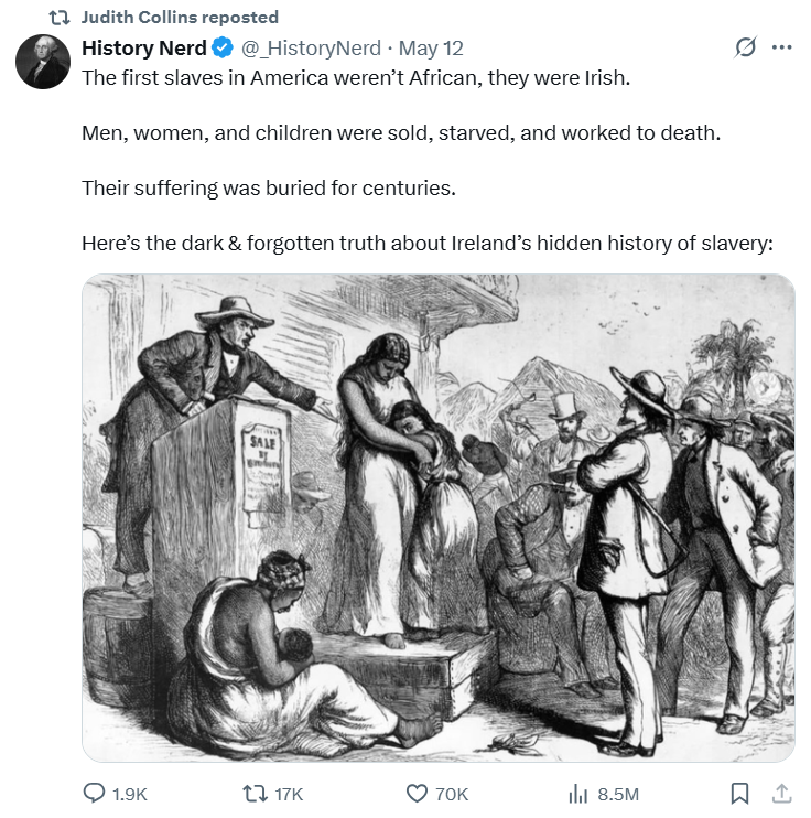 Why is Judith Collins RTing a post about the racist myth that Irish were the first slaves in America?