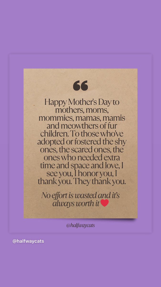 It may not be easy. But no effort is wasted and it’s always worth it ❤️ #HappyMothersDay #happymeowthersday #catmom