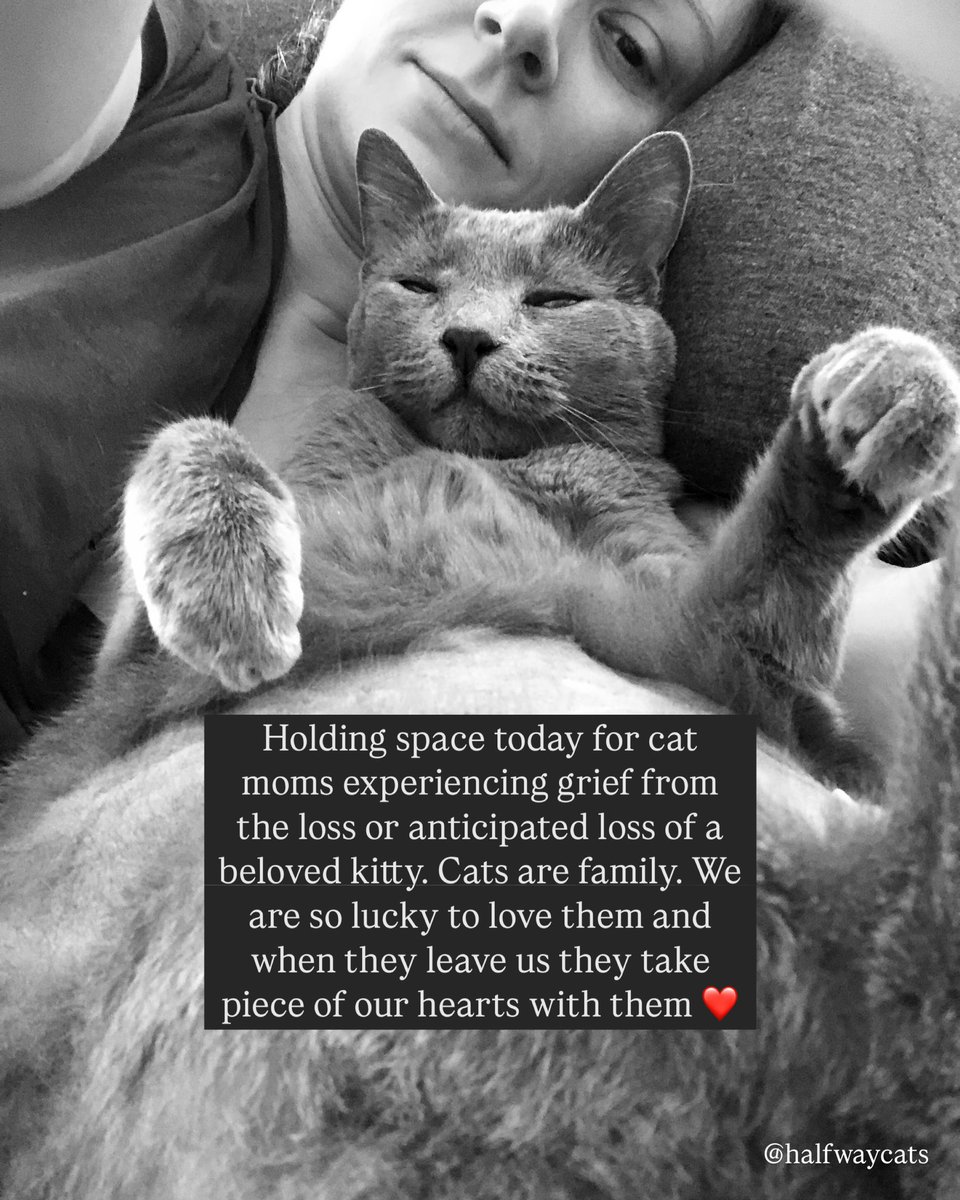 Cats are family ❤️

Sending love to those who may be having a hard time today. You’re not alone. 

Pictured: my soul cat Lala 🩶

#catsarefamily #petsarefamily #petloss #petlossgrief #catmom #catmomlife #mothersday #meowthersday