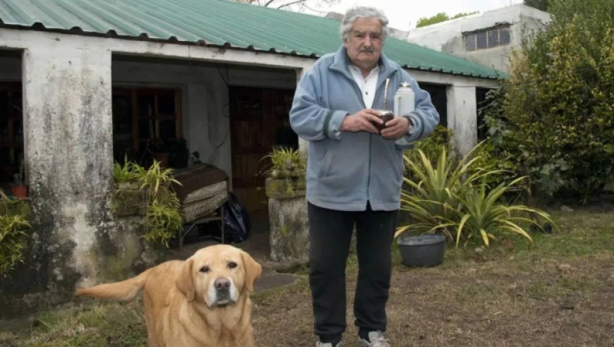 Uruguay'ın eski mütevazi başkanı" José Mujica (Pepe) 89 yaşında hayatını kaybetti.

Mujica , Ocak ayında kanser olduğunu ve  tedavi olmayacağını açıklamıştı.

"Dürüstçe konuşmak gerekirse ölüyorum ve bir savaşçının dinlenmeye hakkı vardır." demişti.