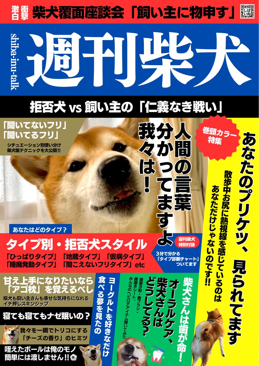 芝犬です。 芝犬です。 Mr.Z 1/6 柴犬 Shiba Inu No.27 Breed Standard 001 犬