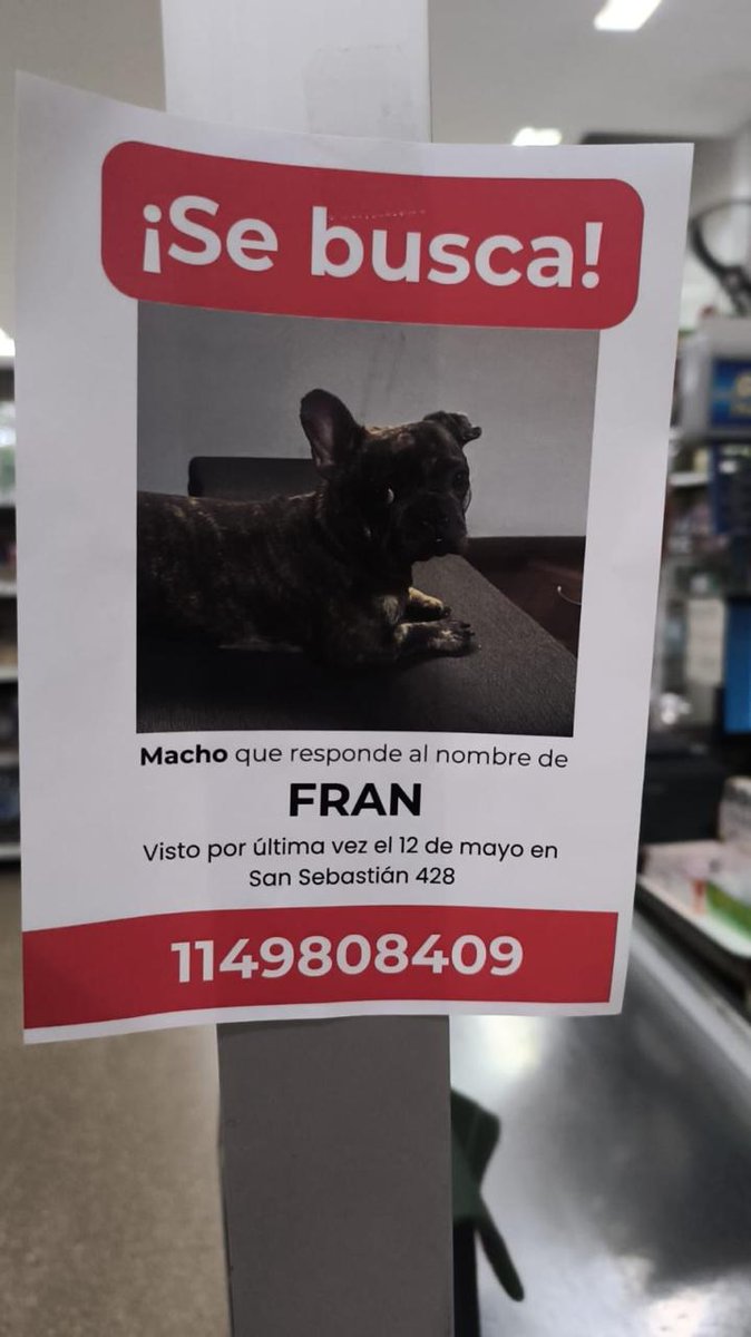 Ayudemos para que pueda volver a su cas