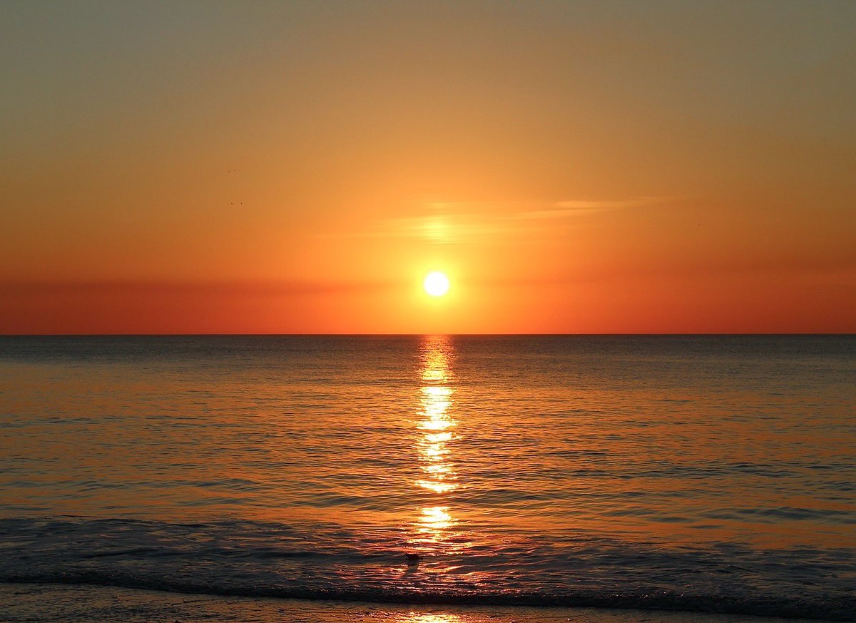 Malicious Maze tweet media