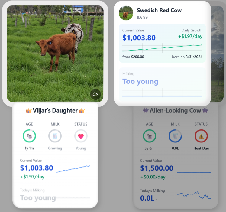 TrigopolisHQ's tweet photo. Trigopolis launches tomorrow.

After a year of focused work, we’re unveiling the first platform that tokenizes dairy production in Colombia and makes it as exciting as a game.

Join us from day one.

Let’s tokenize. #RWA #Web3 #Tokenized #DairyCow #Trigo #LiveStock