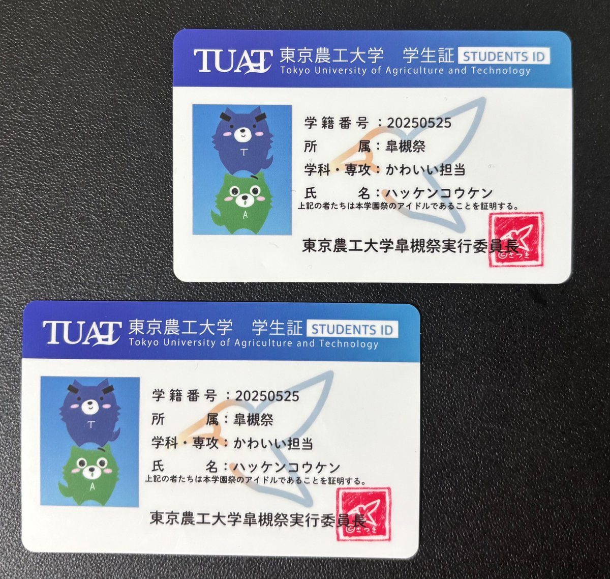 【物販情報その２】
物販紹介第2弾は学生証風ステッカー！
農工大の公式キャラクターであるハッケンコウケンの学生証風ステッカーを本学の学生証に寄せて作成しました！
1枚200円で100枚販売するので、ぜひお手に取ってください〜🙌
 #皐槻祭2025