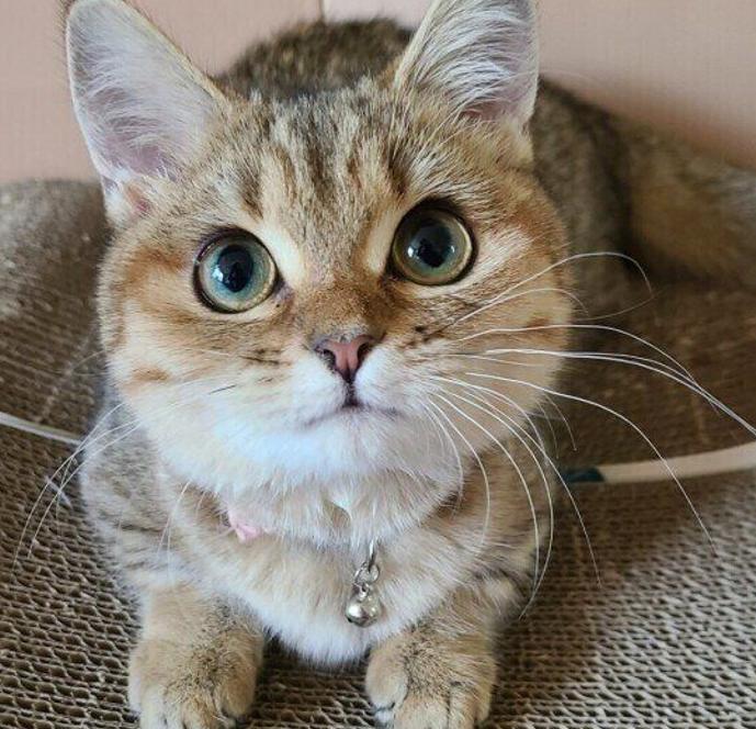 今日のコーデ、何着ようかな？悩むー！👚