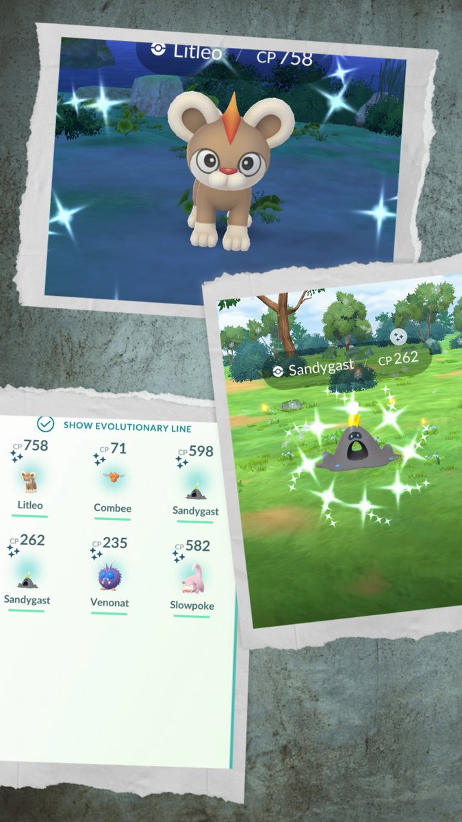 Rowan8436 Level 77✨ tweet media