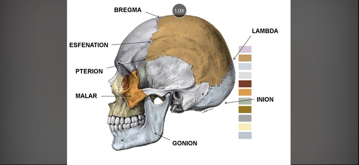 Enzito 🔮 tweet media