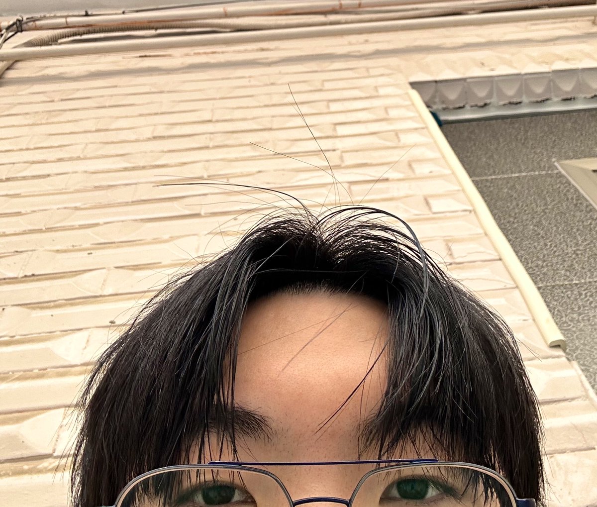 결국 반깁스 하게댐 걸어다니기 개불편하네
회사와사 담배 피닌다.. 😿😿😿