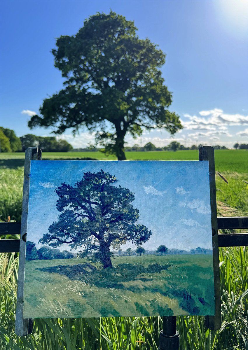 Lynne Roebuck tweet media