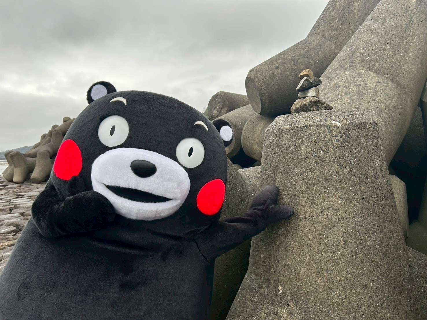 くまモン【公式】 (@55_kumamon) / X