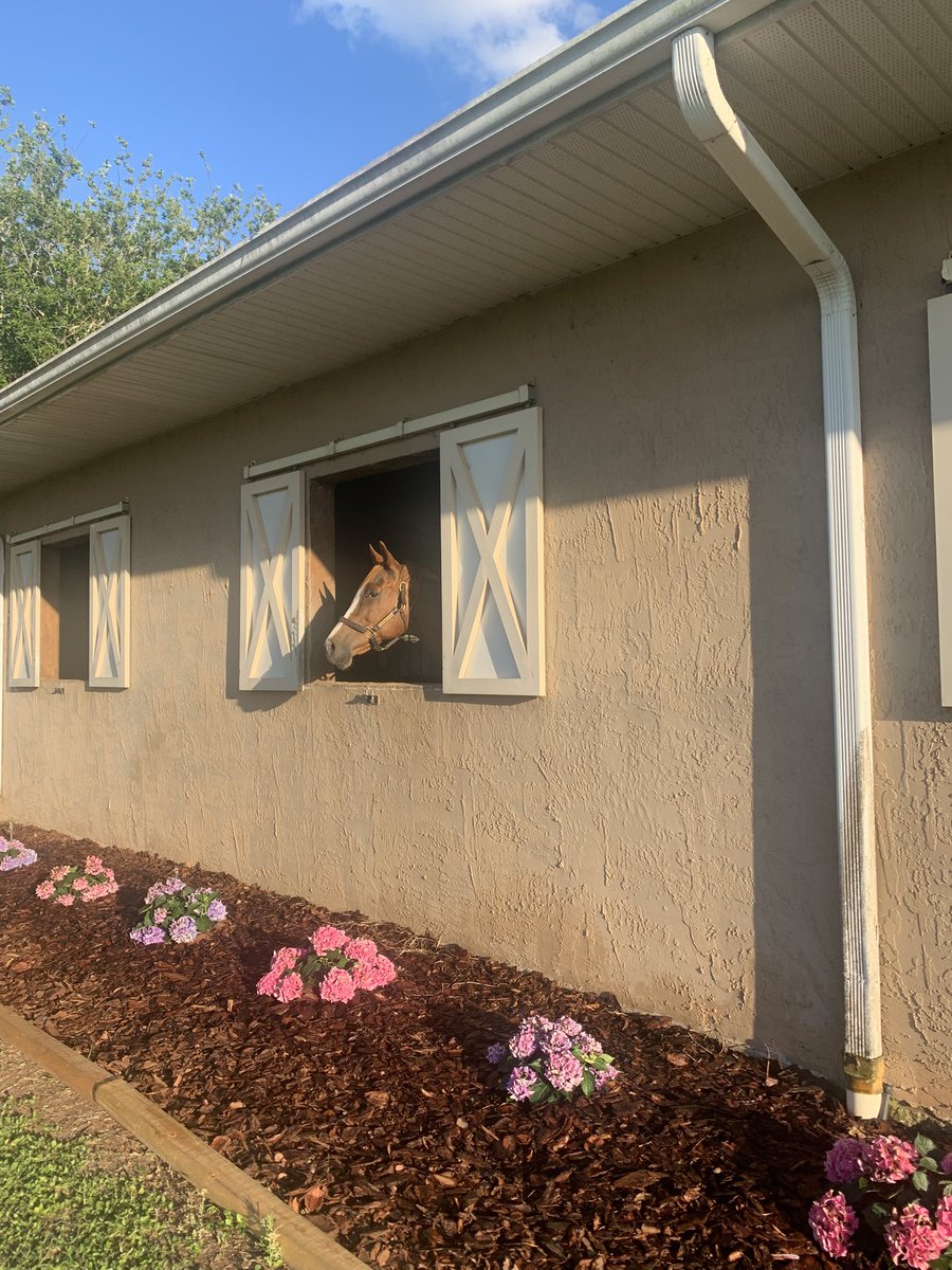 After several stormy days it’s nice to look out on another lovely evening in Ocala #FarmLife #HorseRacing #Retired