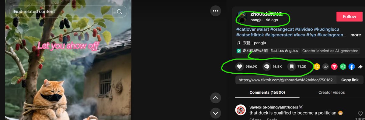 The break out could be any minute, could take a day or two, but Fat Orange is destined for millions. On one video in 6 days it got over 40million views and almost 1 million likes $Orange
