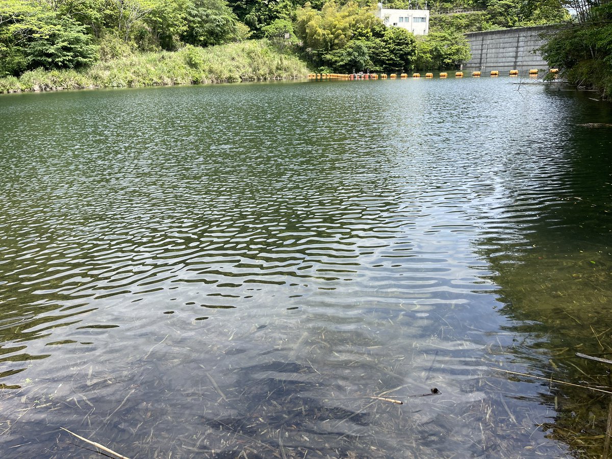 今年一発目
ボツ！
まだ活性低いのかな？