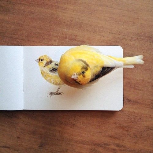 nur (@thtrainwreck) on Twitter photo 