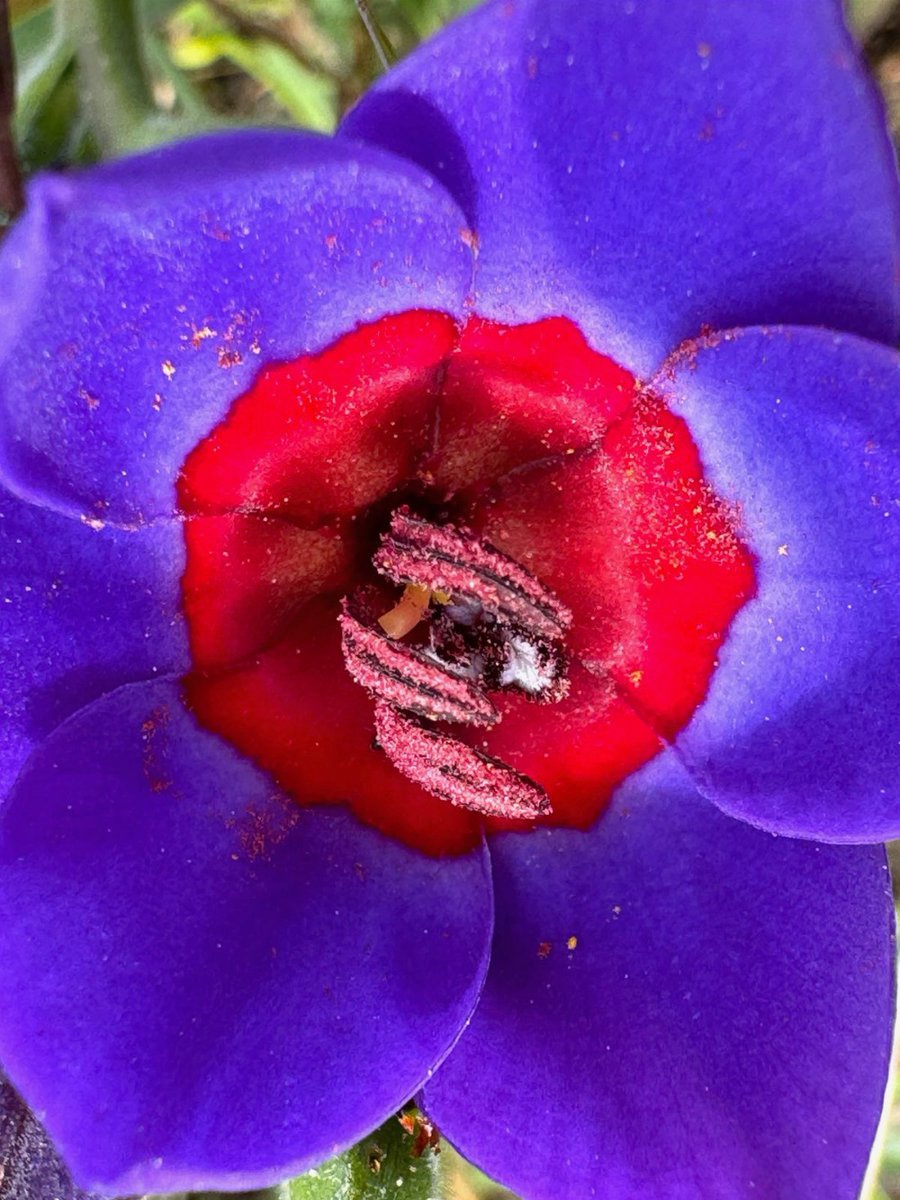 I 💛 Darling Newsletter - mailchi.mp/762ef982c2bb/i…

Click on Facebook Page Newsletter tab to subscribe to this weekly newsletter.

PHOTO:  Wilferd Duckitt