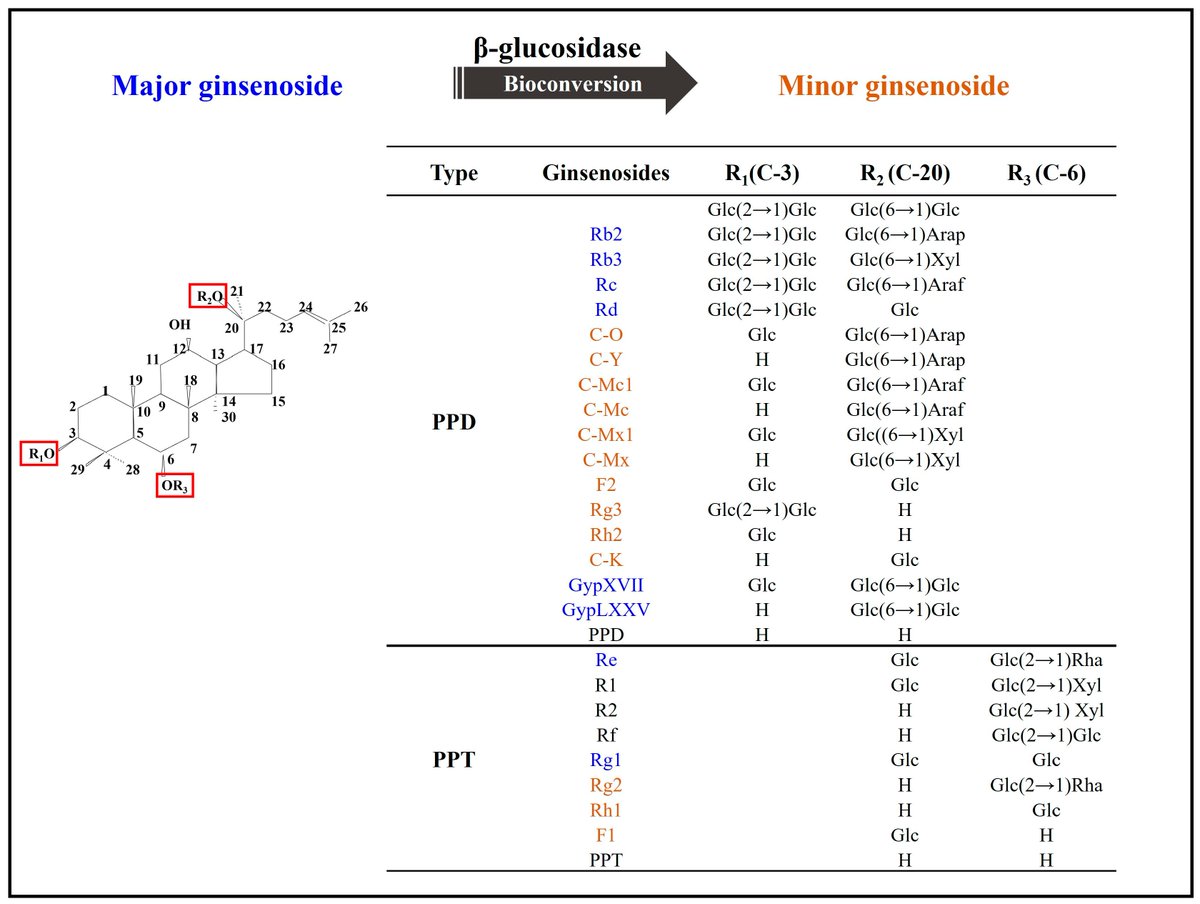 Bioeng_MDPI's tweet photo. 🔬 Excited to share the publication "β-Glucosidase and Its Application in Bioconversion of Ginsenosides in Panax ginseng".
Welcome to access the full article freely here 👉 https://t.co/nX3ahAUSMH.
#glucosidase #Panax_ginseng #ginsenosides #bioconversion #recombinant #enzyme https://t.co/nC2sIg7Hb1