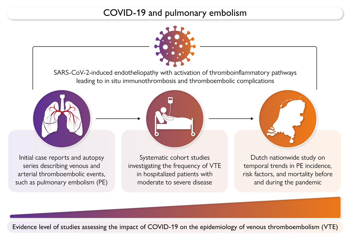 EHJ Editor-in-Chief (@ehj_ed) on Twitter photo Dutch studies reveal a significant link between SARS-CoV-2 infection and increased pulmonary embolism risk, shedding light on long-term cardiovascular impacts. Read more in #EHJ.
doi.org/10.1093/eurhea…
#pulmonaryembolism #SARS-COV-2 #cardiotwitter <a href="/ESC_Journals/">European Society of Cardiology Journals</a> <a href="/escardio/">European Society of Cardiology</a> Dutch studies reveal a significant link between SARS-CoV-2 infection and increased pulmonary embolism risk, shedding light on long-term cardiovascular impacts. Read more in #EHJ.
doi.org/10.1093/eurhea…
#pulmonaryembolism #SARS-COV-2 #cardiotwitter <a href="/ESC_Journals/">European Society of Cardiology Journals</a> <a href="/escardio/">European Society of Cardiology</a>