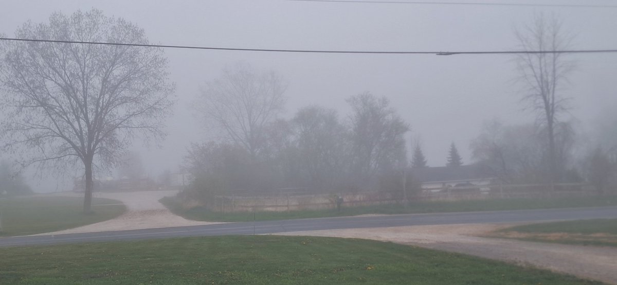 _MichaelWasHere's tweet photo. What in The mist Twilight zone Silent hill is happening today https://t.co/bDG2kyFAQZ