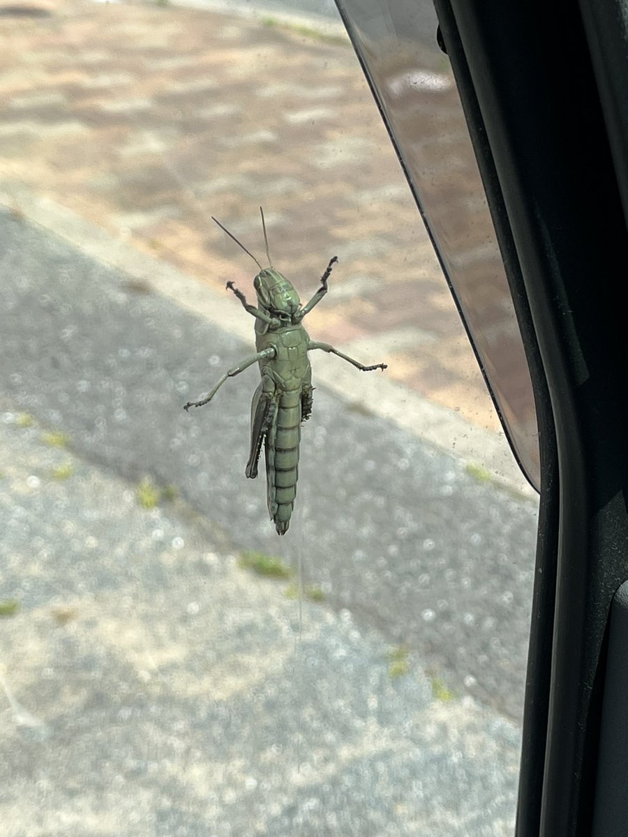 ふと横みたら。。。

心臓止まりそうになるくらい
びっくりした