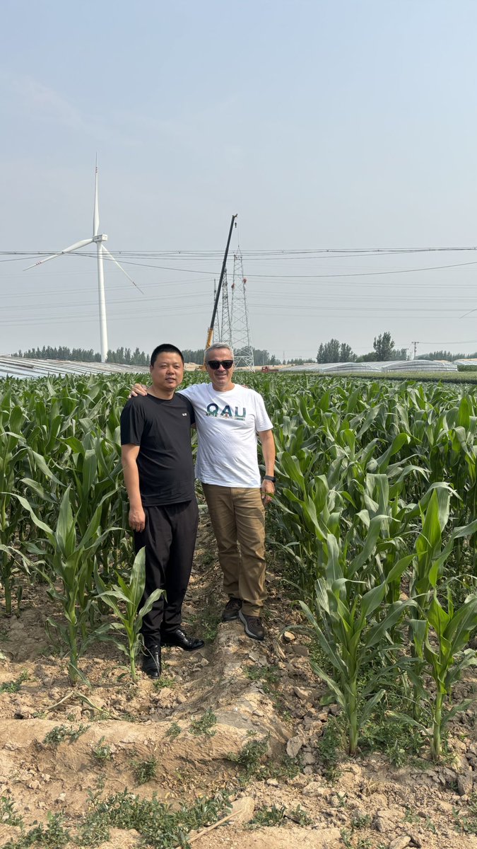 Gustavomaddonni's tweet image. Visita a Quanfeng Company of Agricultural S&amp;amp;T, Shandong Province. Una región con excelentes condiciones para el cultivo de trigo pero con limitaciones por el estrés térmico en maíz. Posible colaboración en este tema.