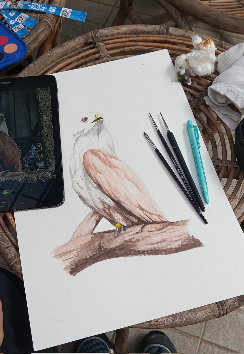 AbangFatihID's tweet image. Painting in the zoo!
