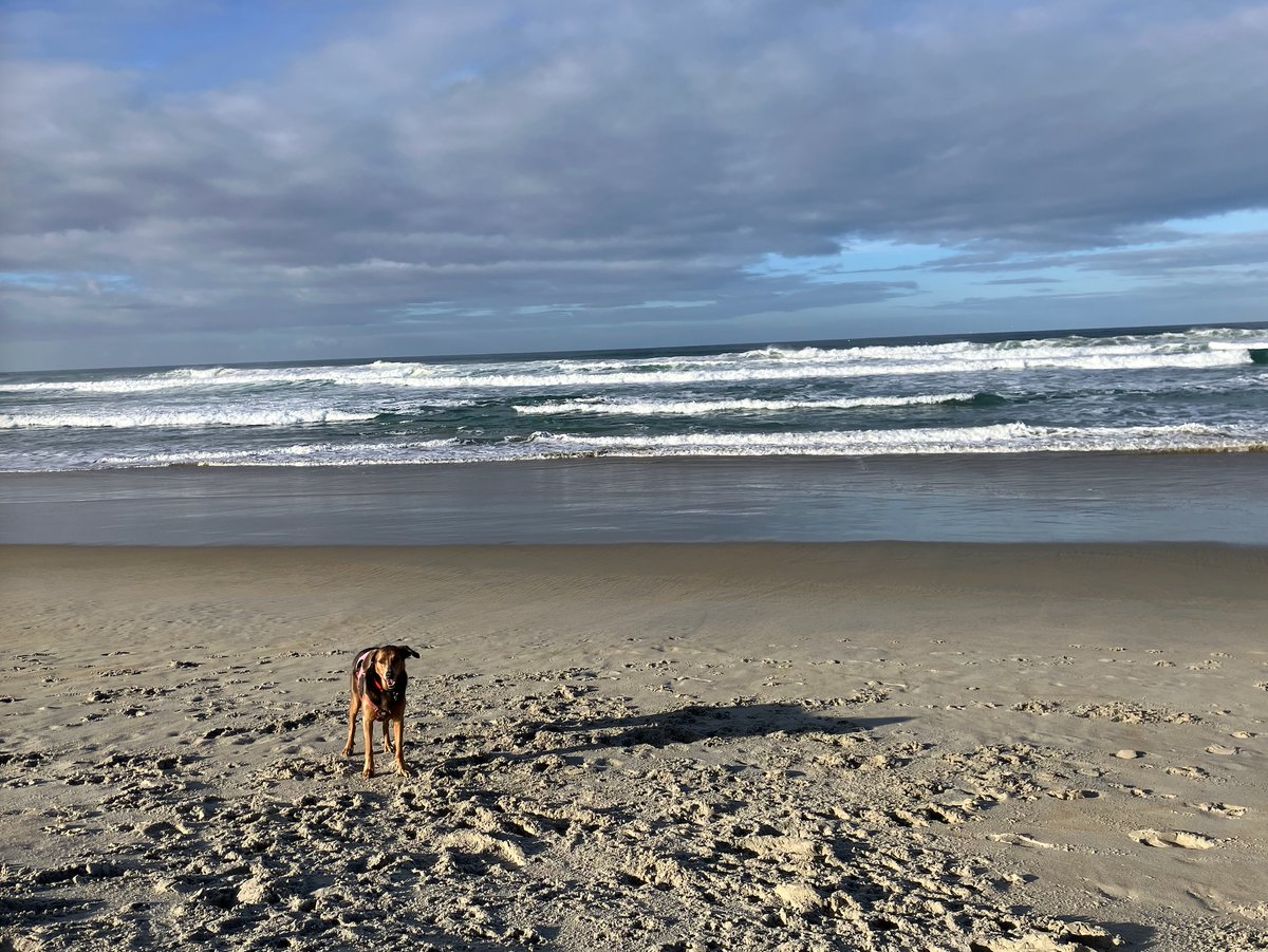 Winter beach walk, Dunedin May 2025.