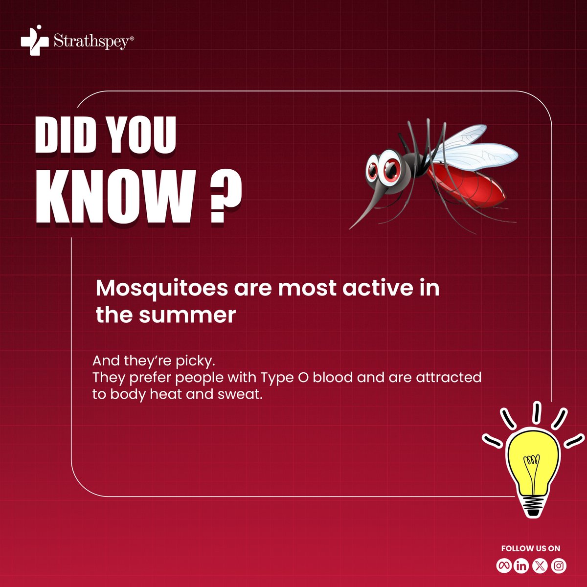 LabsStrathspey's tweet photo. Did you know? 🦟
Mosquitoes are not just annoying — they're also selective!

#DidYouKnow #MosquitoFacts #SummerTips #Strathspey #StrathspeyLabs https://t.co/AxBTa7KXNo