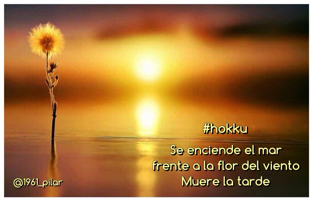 Un nuevo amanecer ¡Buenos días!

Se enciende el mar...

~hokku~

#LYF15  #VAFlorDePiel