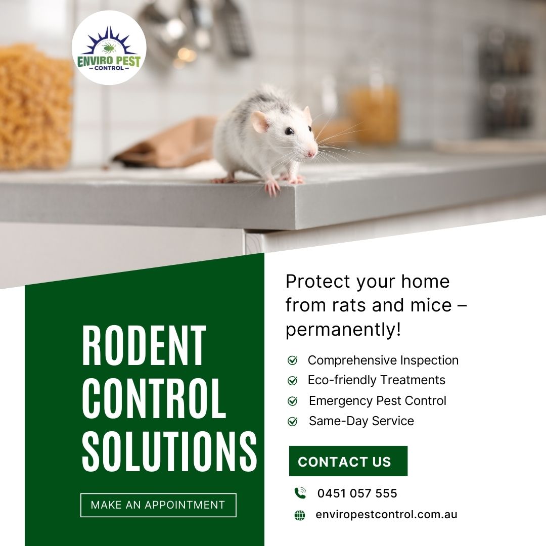 Enviro Pest Control (@PestEnviro) / Posts / X