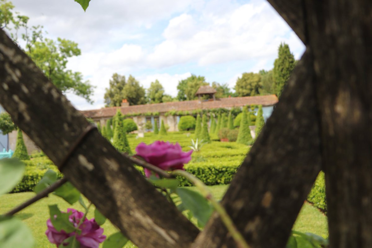 chris40851's tweet image. #Rose et #Perspectives au jardin 
Beau Mercredi à vous