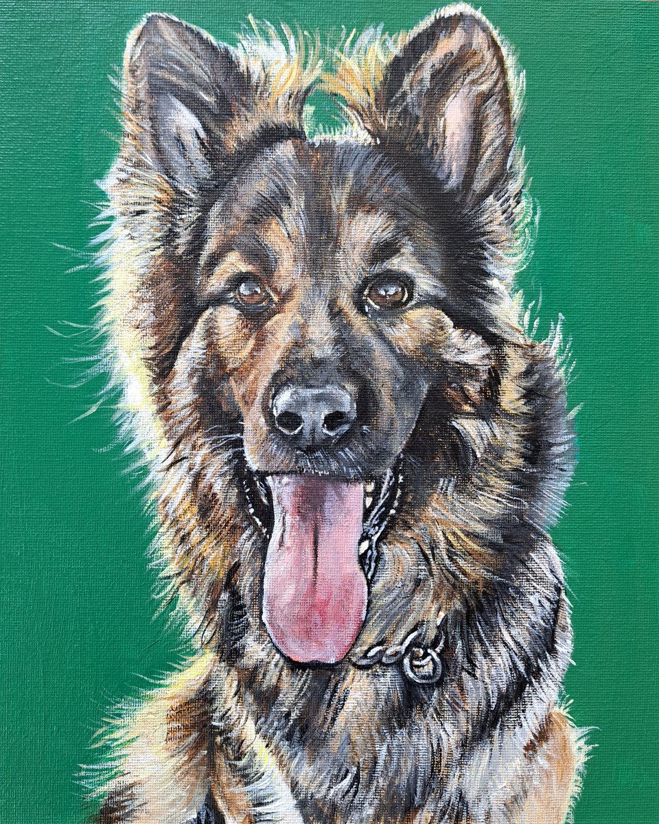 Recently finished pet portrait commission of Enzo 🐕🐾✨️

Acrylic on canvas panel 10x12"

So much fluff!

#art #painting #dogs #ArtistOnTwitter