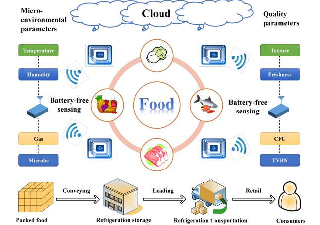 ReseaproJALF's tweet photo. What if your food could monitor itself without batteries?
Xinqing Xiao's study explores battery-free sensing to enhance food safety and sustainability across the supply chain.
https://t.co/cC7Zh6zDsL
#Agriculture #journals
#IoT
#FoodSafety
#PerspectiveStudy #research https://t.co/IBgaCu2Txw