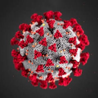 Prince_Fynnd's tweet photo. This is Thomas Seyfried.

He's a scientist who's dedicated 30+ years to researching cancer.

His message? Cancer IS preventable.

It's caused by lifestyle factors, not genetics.

Here are Seyfried's 7 MOST important rules for preventing cancer.

Check Thread 👇 https://t.co/8GQqQkPvGx