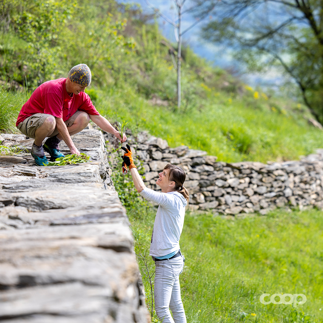 coop_ch (@coop_ch) on Twitter photo Der <a href="/WWF_Schweiz/">WWF Schweiz</a> engagiert sich seit über 60 Jahren für Natur & Umwelt. Am #TagDerGutenTat können Freiwillige mithelfen: Ufer säubern, Hecken pflegen, Kompost anlegen & vieles mehr🌱. Hier geht's zu den Mitmach-Aktionen: taten-statt-worte.ch/de/tag-der-gut… #CoopCH Der <a href="/WWF_Schweiz/">WWF Schweiz</a> engagiert sich seit über 60 Jahren für Natur & Umwelt. Am #TagDerGutenTat können Freiwillige mithelfen: Ufer säubern, Hecken pflegen, Kompost anlegen & vieles mehr🌱. Hier geht's zu den Mitmach-Aktionen: taten-statt-worte.ch/de/tag-der-gut… #CoopCH