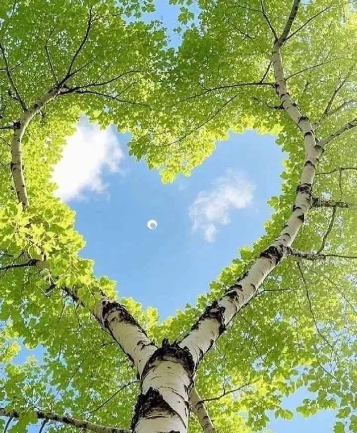 اللّهُم طُمَأنِينَةً تُعانقُ القلب🤍
ومَغفرةٌ تُطَّهر الرَّوح ودَعوةٌ لا تُرد🤲

 #صباح_الخير