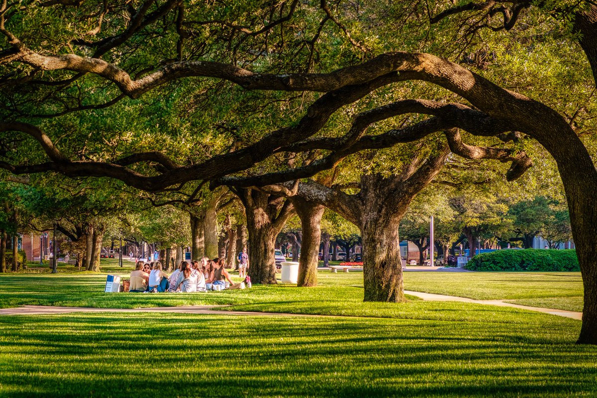 #SMU students take to the campus quad to capture those last moments together and a few <a href="/SMU/">SMU</a> grad photos. Thankfully, the weather was cooperating yesterday for those pics.

#PonyUp #PonyUpMustangs