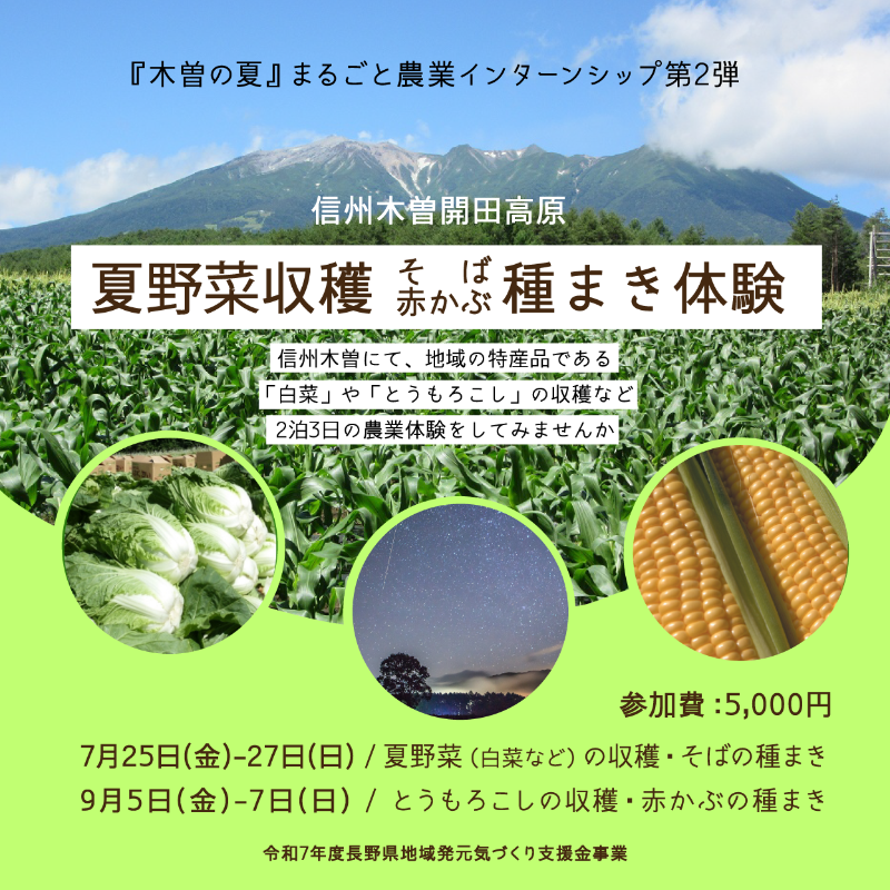 flatkiso's tweet photo. ＼"信州で農業"を体験しませんか／  

「木曽の夏」農業インターンシップ
- 夏野菜の収穫と種まき体験 - 

自然豊かな長野県木曽地域で、2泊3日の農業体験をしませんか。夏野菜の収穫・赤かぶやそばの種まき、追肥体験や農家さんのお話を聞くことができます。就農や移住を考えている方、ぜひ📣