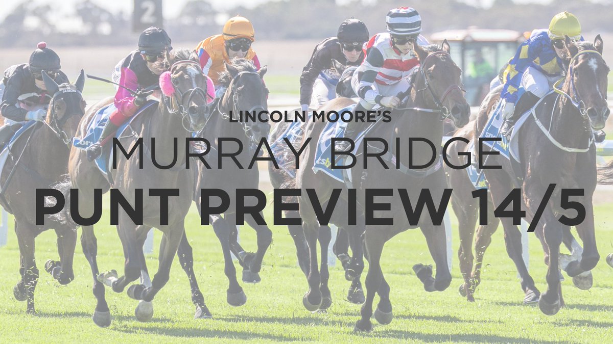 Tuning into Murray Bridge today? Put your best bet forward and check out Linc's Punt Preview
🔗hubs.li/Q03mpSQV0