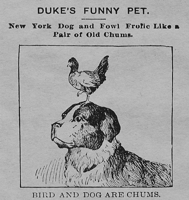 yesterdaysprint's tweet photo. Kansas Farmer, Topeka, Kansas, March 4, 1897 https://t.co/ugSZplAX8h