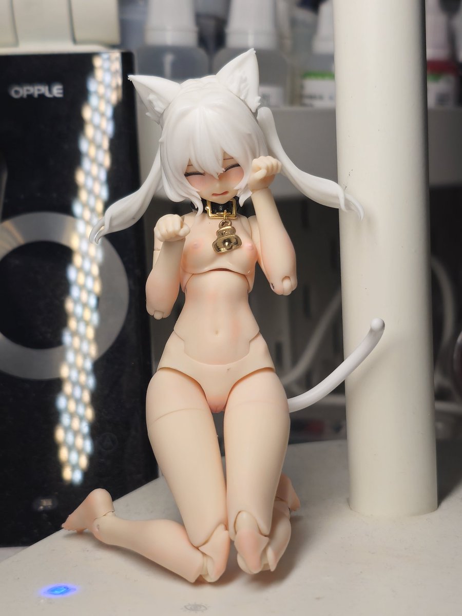 rexwn89's tweet image. 最高だ~~  
Ｏ(≧▽≦)Ｏ 
#メガミデバイス #megamidevice  #バスタードール #busterdoll