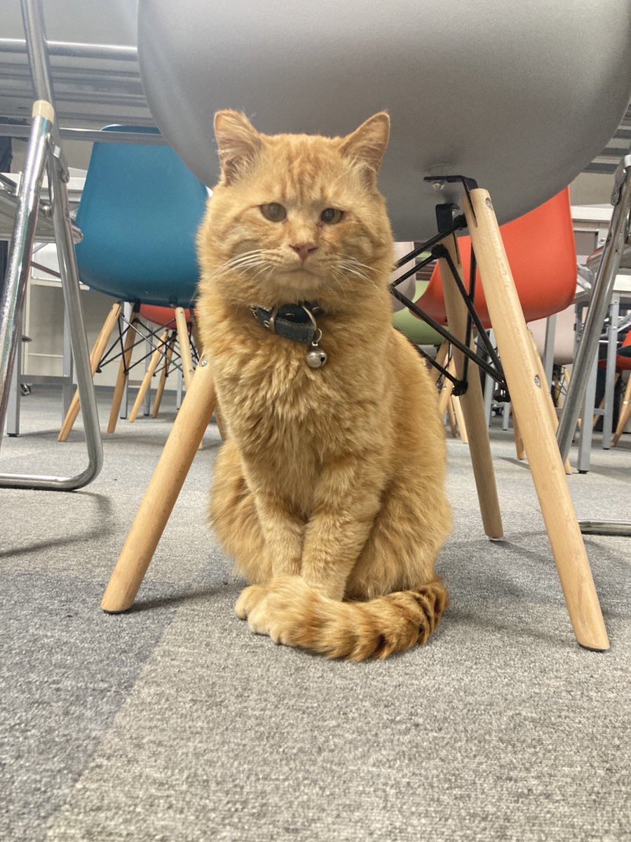 お家🏠と、よそ行きを上手に使い分けております🤭