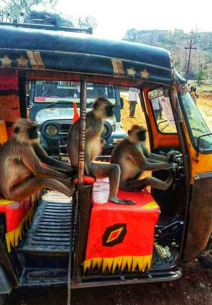 एक सवारी केवल 10 रूपए आ जाईए 😀😂