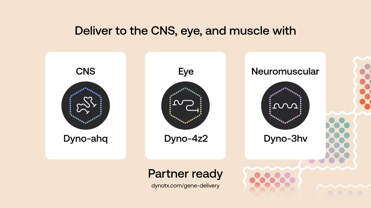Dyno_Tx's tweet image. Today at the #ASGCT25 Dyno Symposium we announced the launch of three exceptional new capsids for gene delivery to the CNS, eye, and muscle: Dyno-ahq, Dyno-4z2 and Dyno-3hv.
You can learn more about these capsids and partnering with Dyno at dynotx.com/gene-delivery, and as…