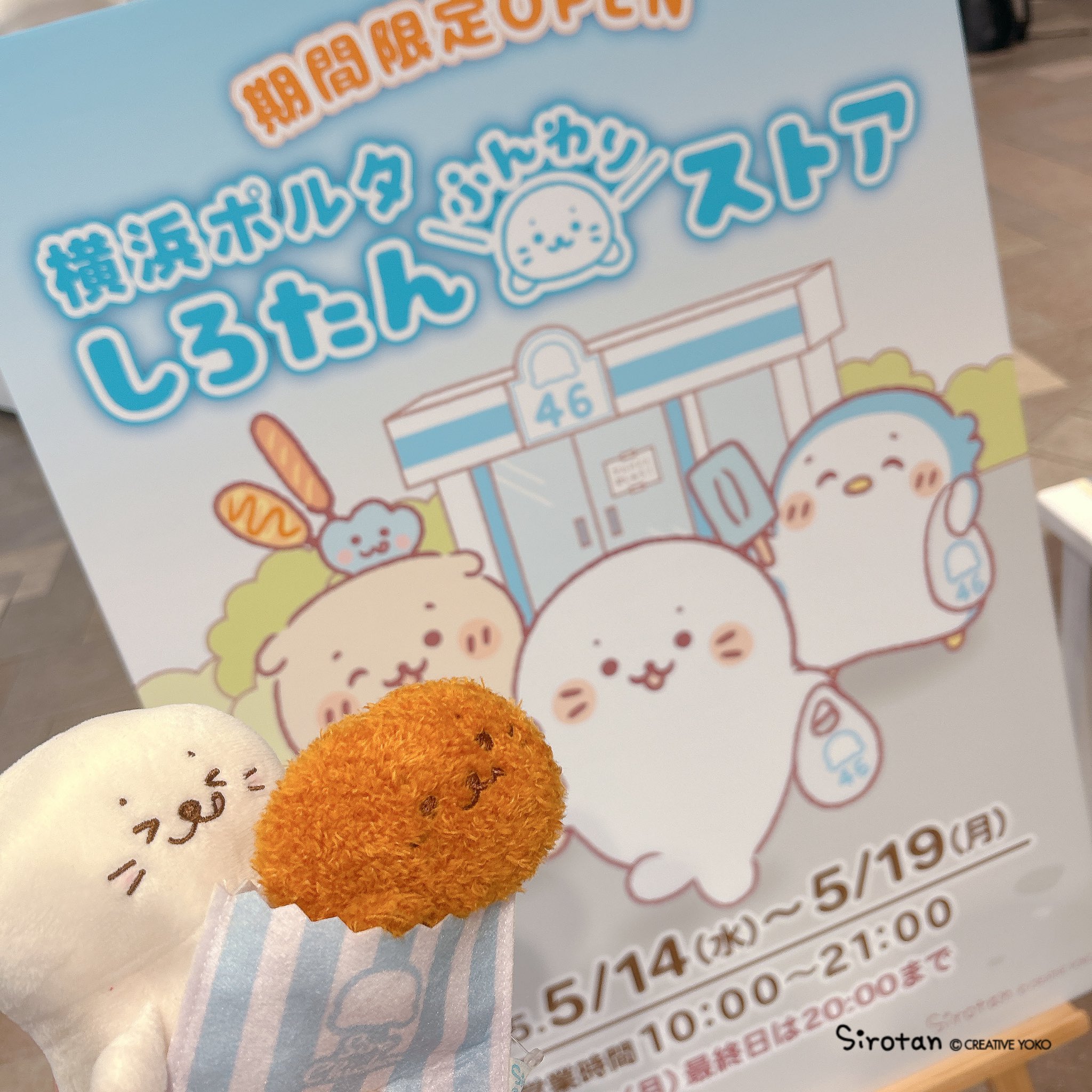 しろたん on X: 