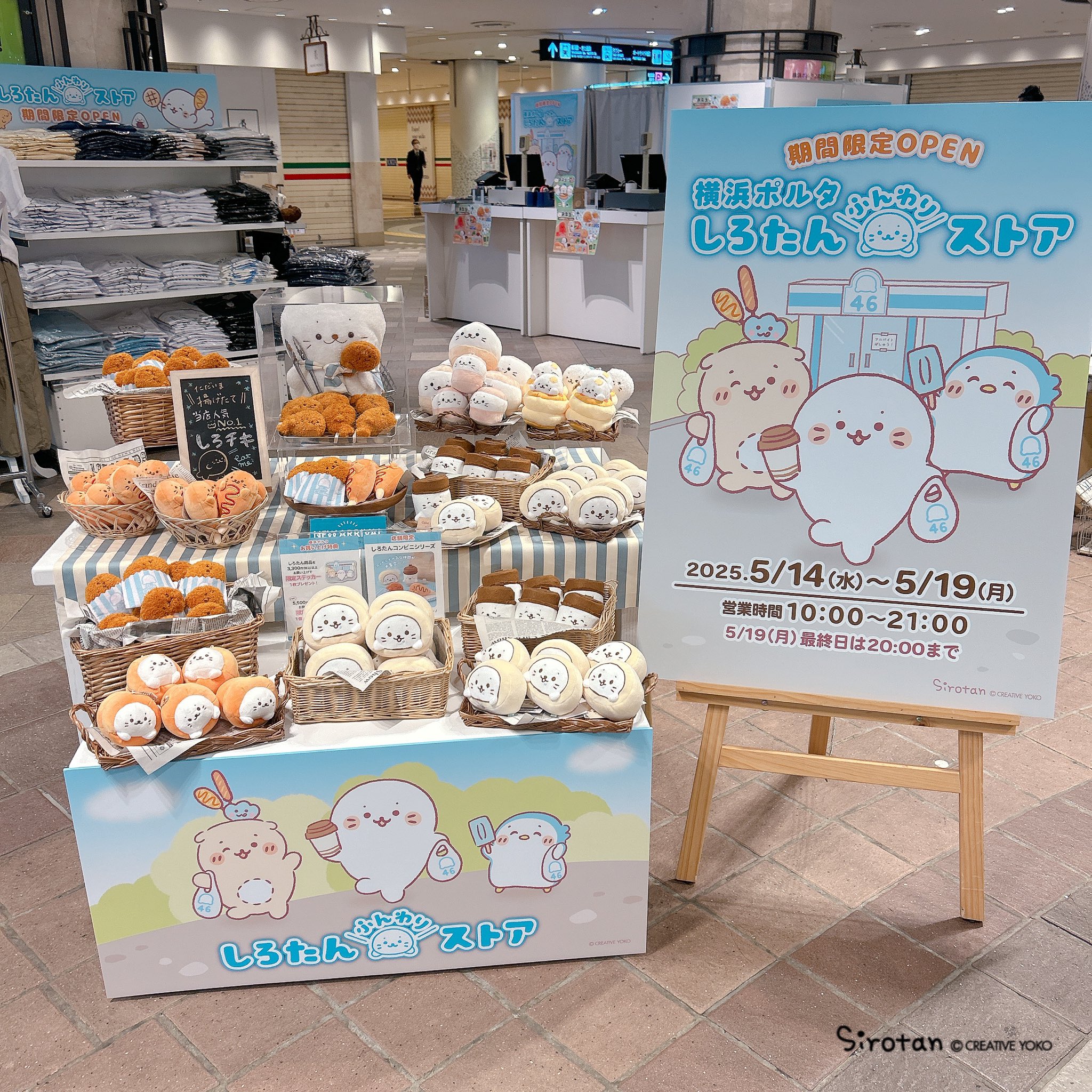 しろたん on X: 