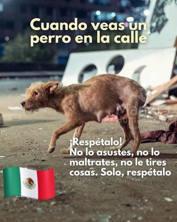 😞 ellos no tienen la culpa de estar en la calle. 
#comparte