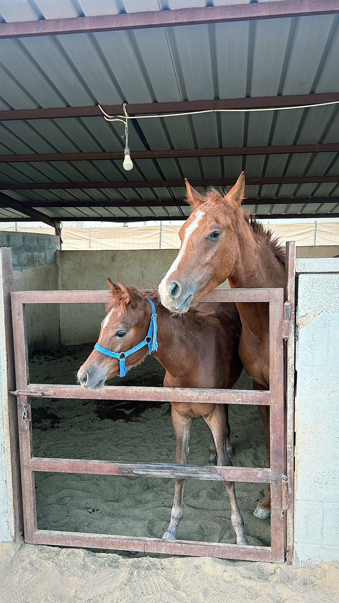 i2evb's tweet image. 